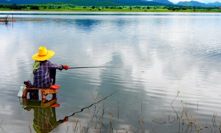 What Fishing Will Teach You About Positioning Yourself Effectively