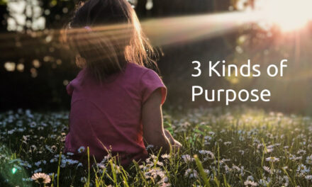 Purpose: did you know there are 3 kinds?