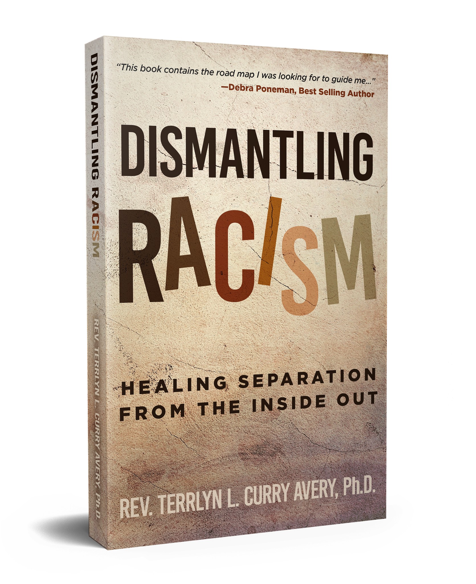 Dismantling Racism Terrlyn Avery Book Cover